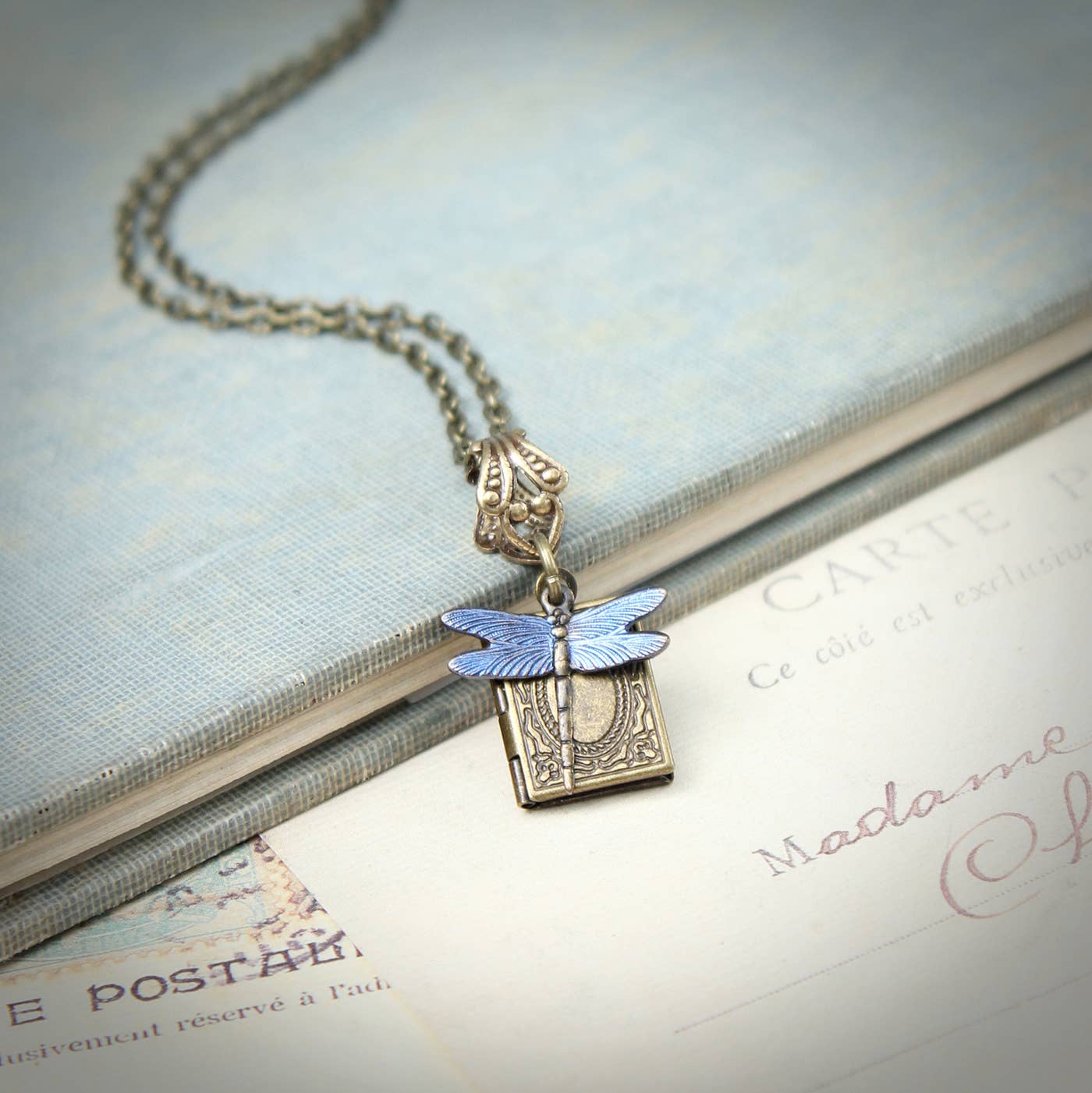 Circa 1890 - Blue Dragonfly Miniature Locket Necklace