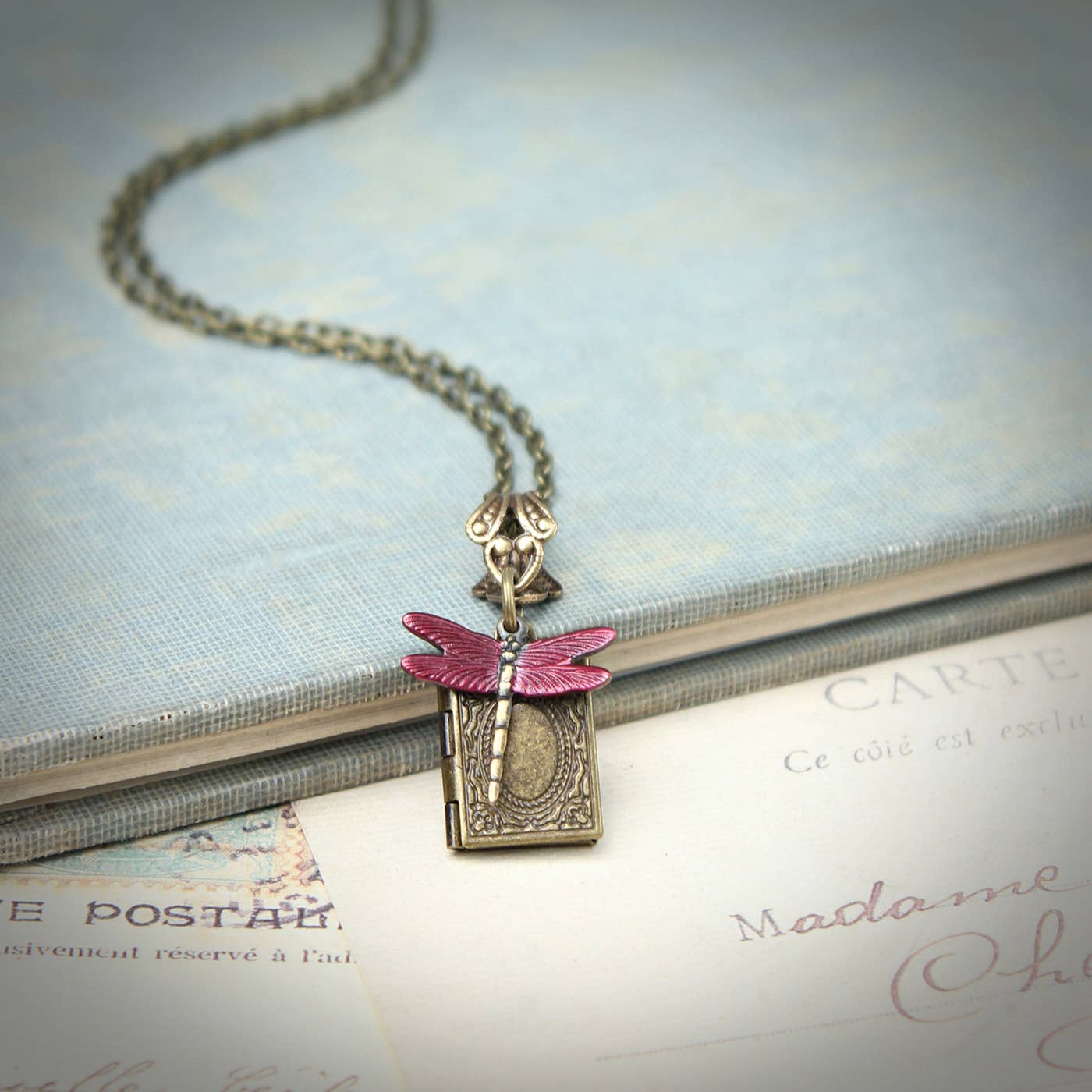 Circa 1890 - Red Dragonfly Miniature Locket Necklace