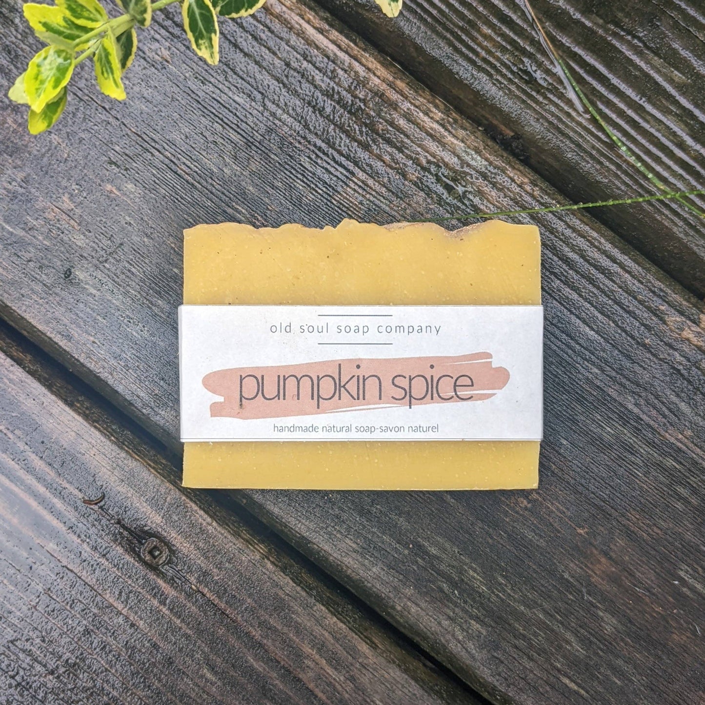Old Soul Soap Company - Pumpkin Spice