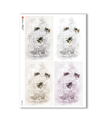 Paper Designs - Vintage Bees Four Pack A4 Rice Paper