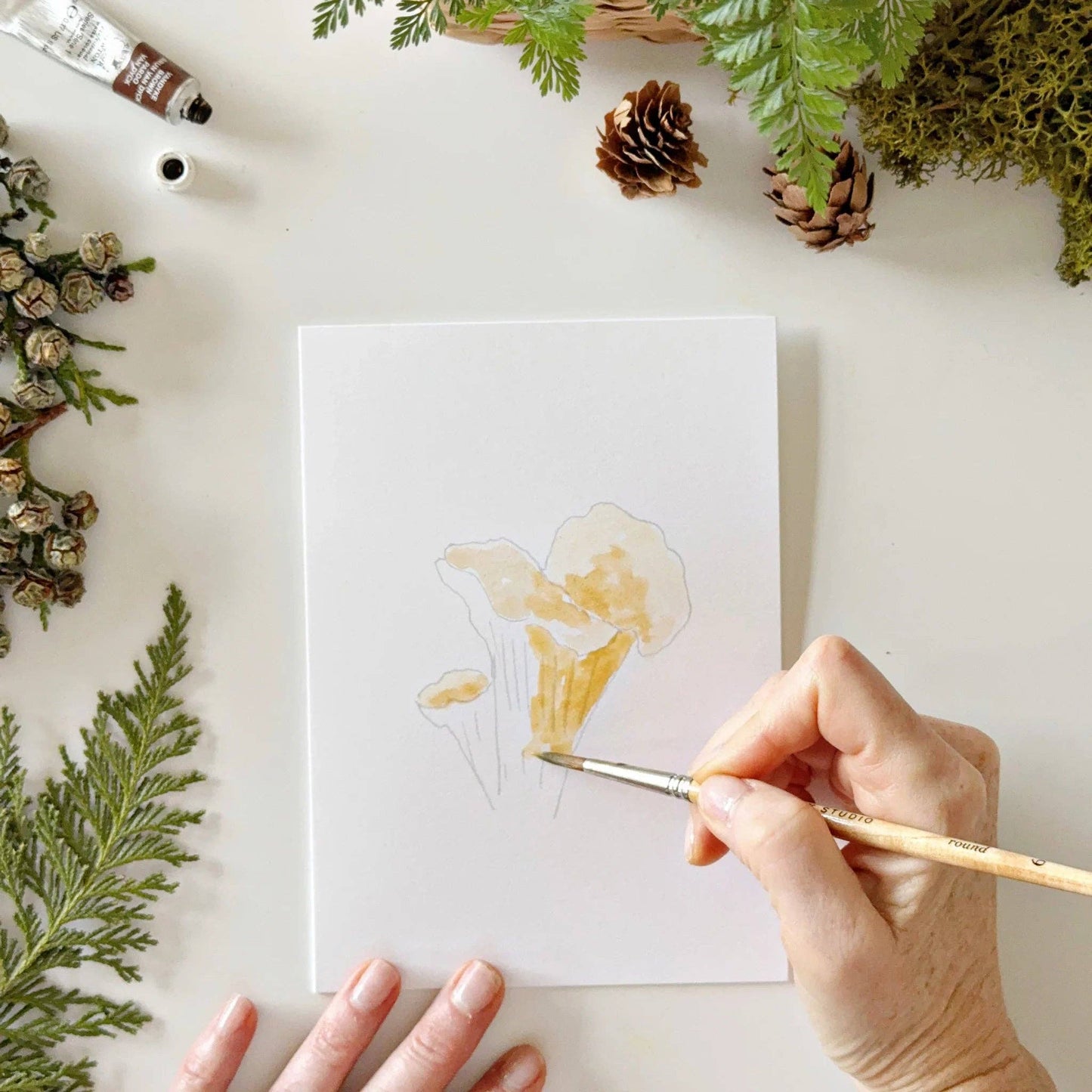 Emily Lex Studio - Mushrooms Paintable Watercolor Notecard Set
