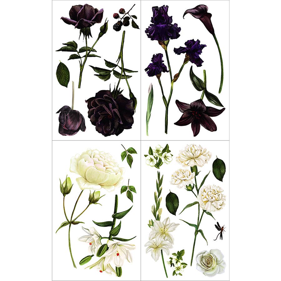Hokus Pokus Decor Transfer Midnight Garden