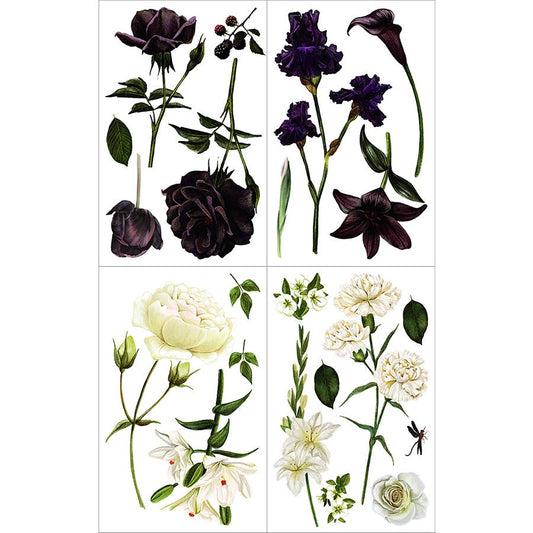 Hokus Pokus - Decor Transfer - Large Cut Into 4 Sheets - Midnight Garden 35x24"