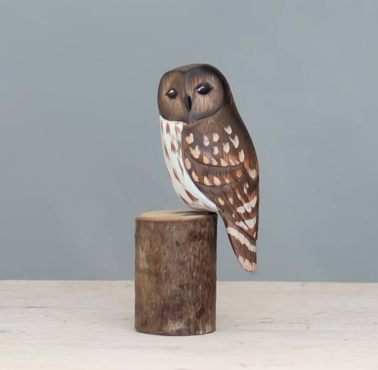 Aviologie : Mini Barred Owl 5” Hand Carved Ornament