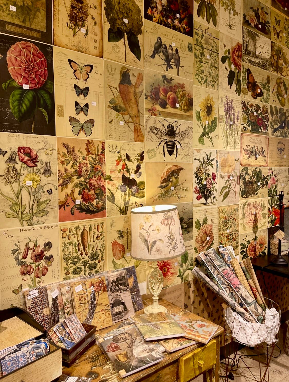 Monahan Papers - Birds, Nests & Florals Papers 11x17"