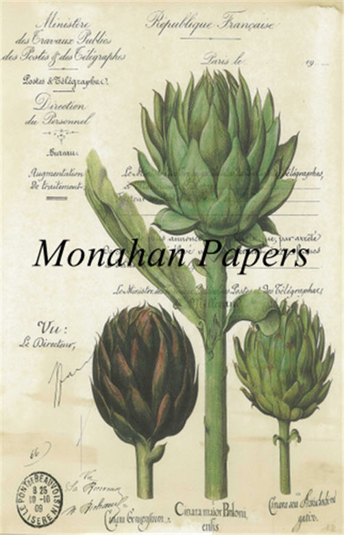 Monahan Papers - Botanicals Collection Craft Papers 11x17"