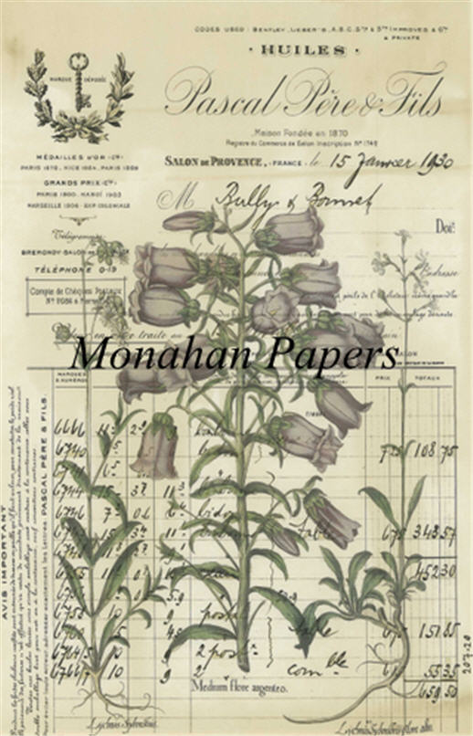 Monahan Papers - Botanicals Collection Craft Papers 11x17"