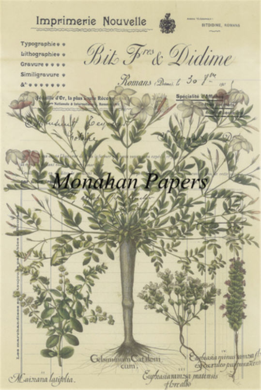 Monahan Papers - Botanicals Collection Craft Papers 11x17"