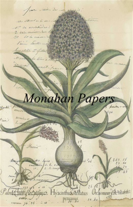 Monahan Papers - Botanicals Collection Craft Papers 11x17"