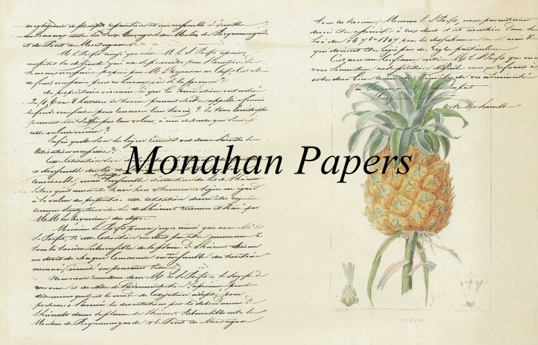 Monahan Papers - Botanicals Collection Craft Papers 11x17"