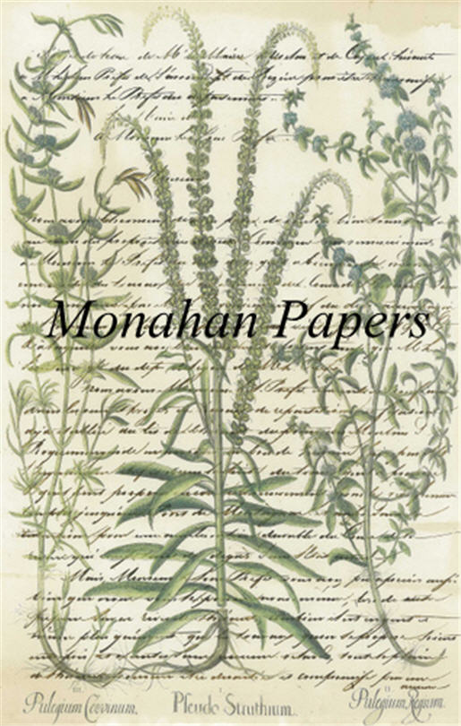 Monahan Papers - Botanicals Collection Craft Papers 11x17"