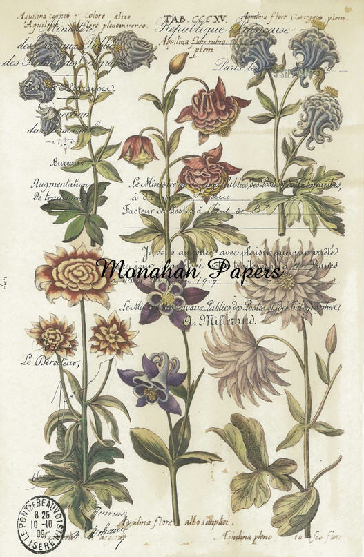 Monahan Papers - Botanicals Collection Craft Papers 11x17"