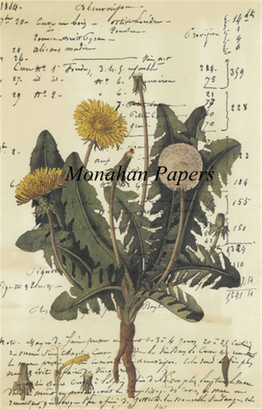 Monahan Papers - Botanicals Collection Craft Papers 11x17"