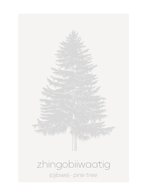 Eagle Woman Prints : Minimalist Ojibwe Plants and Tree Print Set of 4