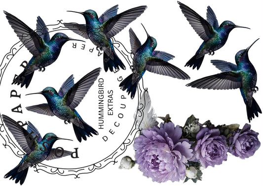 Posh Papers - Hummingbird A4
