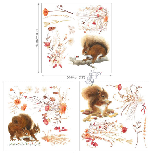 Hokus Pokus - Petite Transfer - Lets Go Nuts 12.4x11.8"