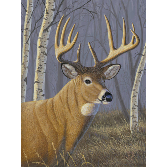 Diamond Brands - Sunlit Whitetail by Jeff Hoff Diamond Painting Kit