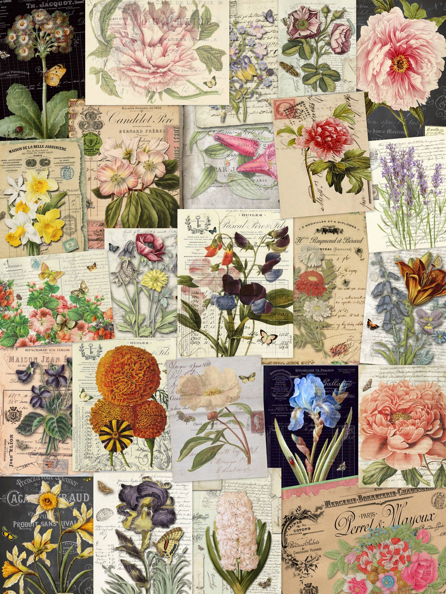 Monahan Papers - Botanicals Collection Craft Papers 11x17"