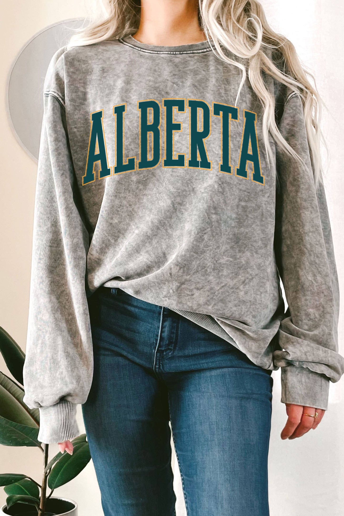 Rustee Clothing - 'ALBERTA' Puff Mineral Graphic Terry Sweatshirt