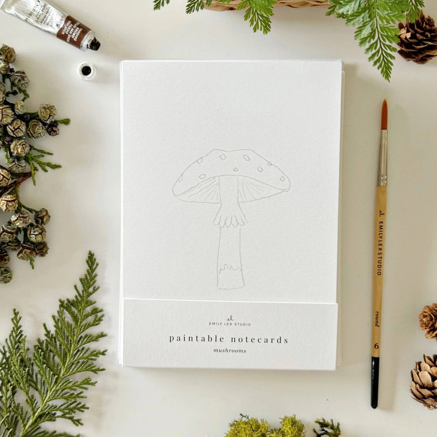 Emily Lex Studio - Mushrooms Paintable Watercolor Notecard Set