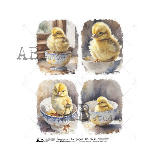 AB Studios : Four Pack Easter Chicks in Teacups Rice Paper A4