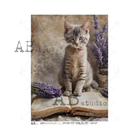 AB Studios - #4357 Cat and a Book A3 Rice Paper