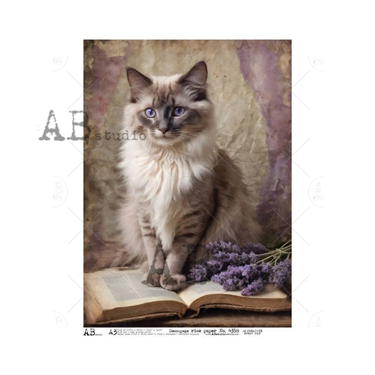 AB Studios - #4358 Lilac Cat A3 Rice Paper