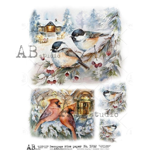 AB Studios : Painted Winter Birds Rice Paper A4