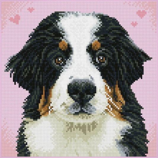 Diamond Dotz - Say Hello to Zuzu