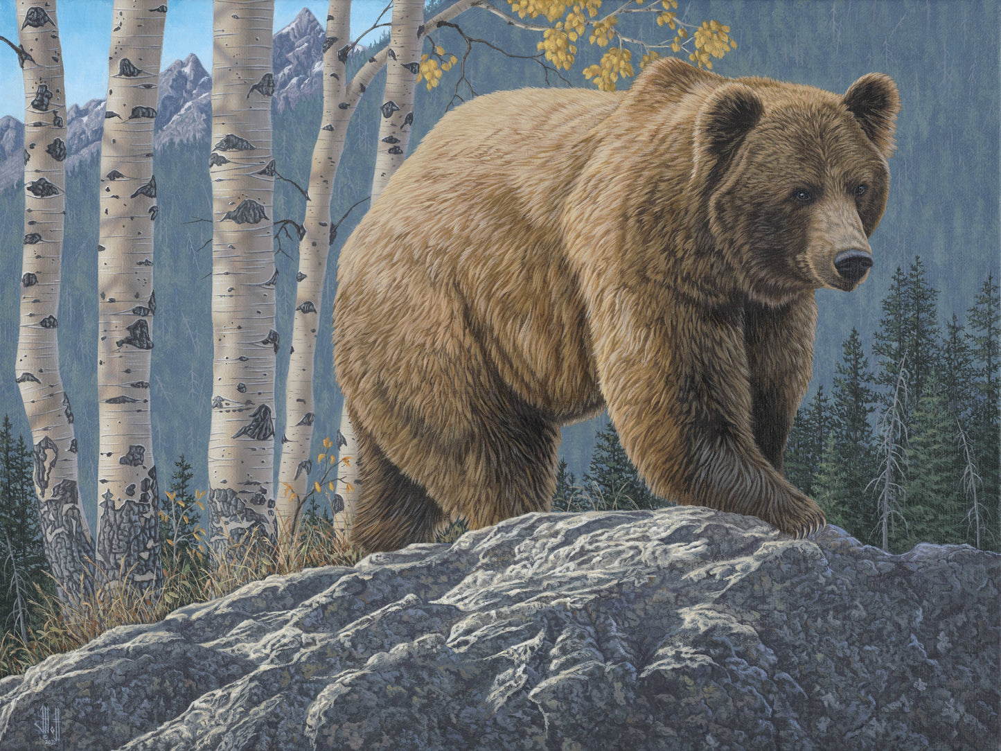 Diamond Brands - Aspen Mountain Grizzly by Jeff Hoff Diamond Art Kit