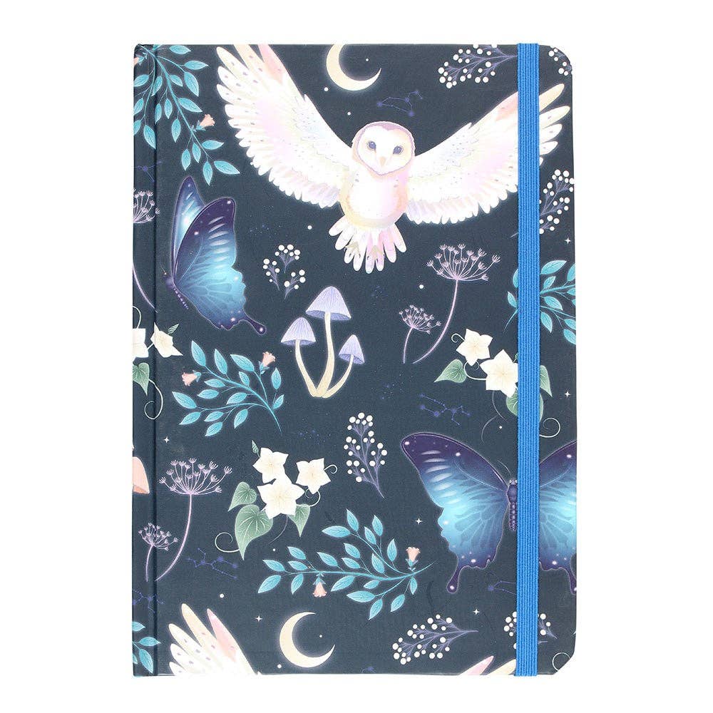 Something Different : Night Flight Owl A5 Notebook