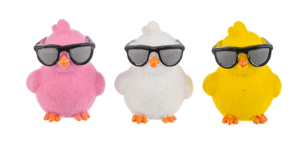 Be Cool Little chicks Pocket Charm