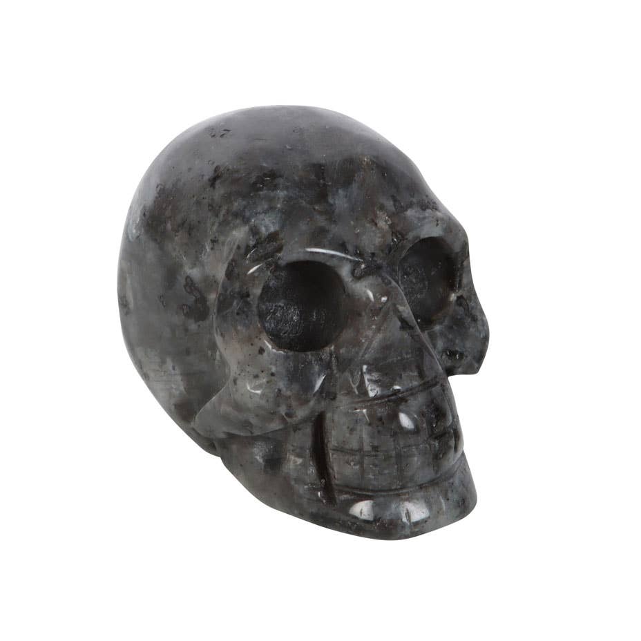 Something Different : Black Labradorite Crystal Skull