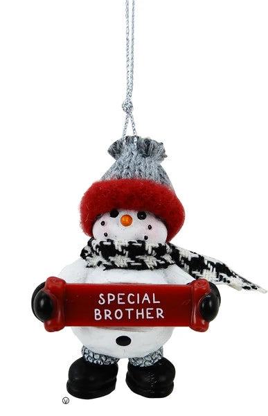 COZY SNOWMAN SPECIAL BROTHER