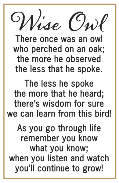 Wise Owl Charm