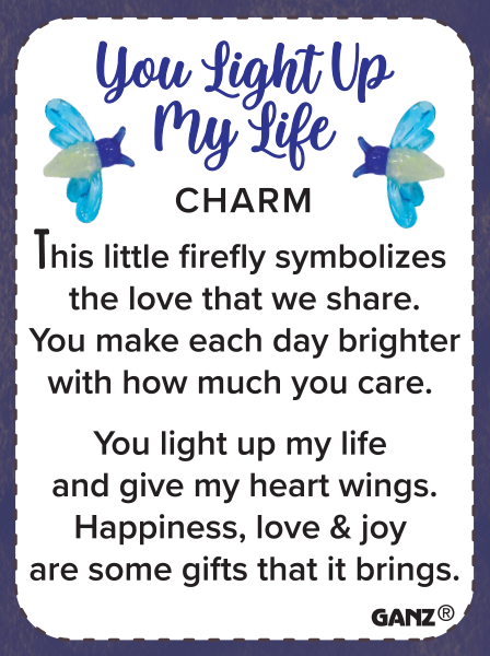 YOU LIGHT UP MY LIFE POCKET CHARM