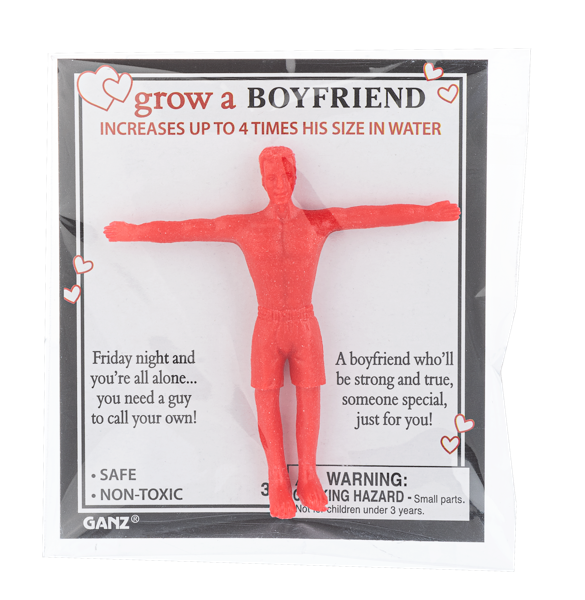 Ganz : Grow a Boyfriend
