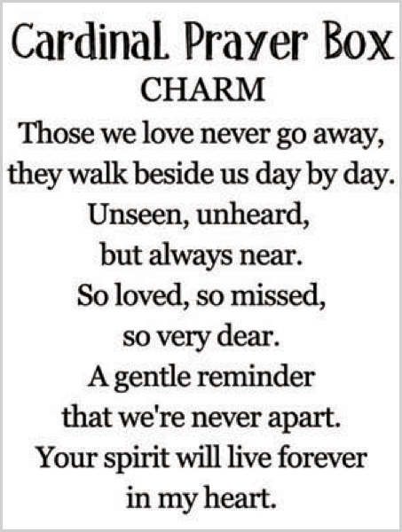 Cardinal Prayer Box Charm