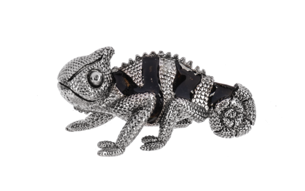 The Chameleon Charms
