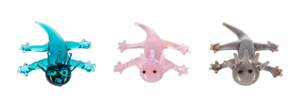 AMAZING AXOLOTL CHARM