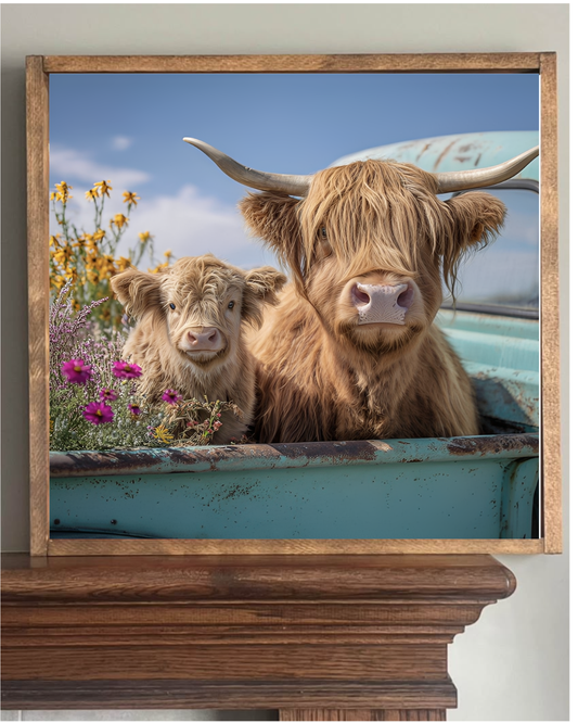 Stir Crazy Signs - Little Sister Highland Cow Farmhouse Sign 12x12"
