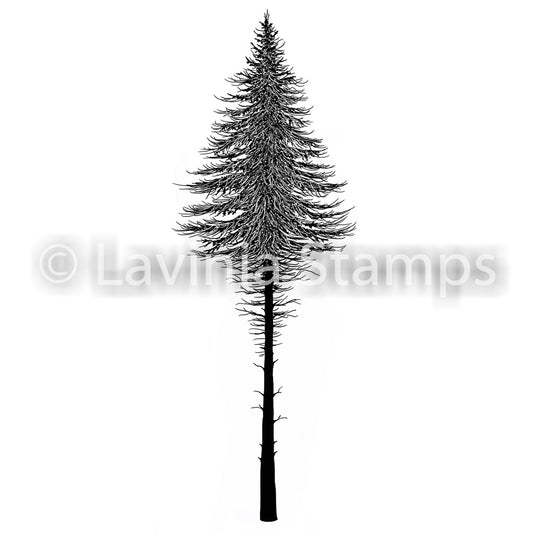 Lavinia Stamps - Fairy Fir Trees 2 Small