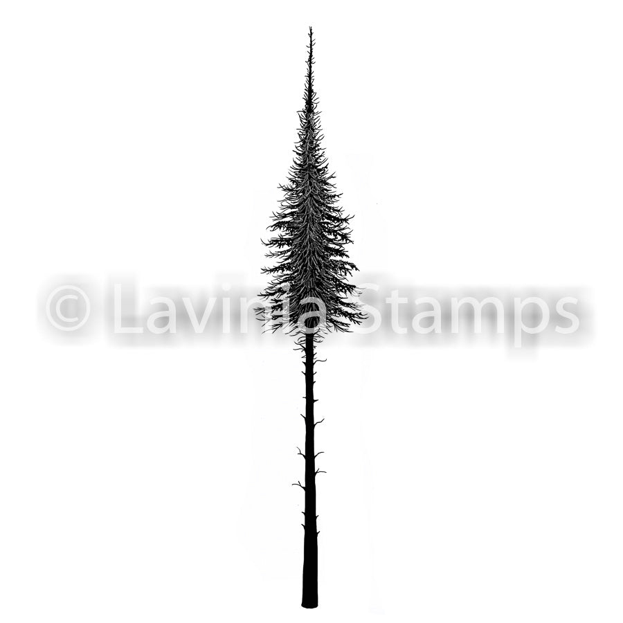 Lavinia Small Fairy Fir Tree