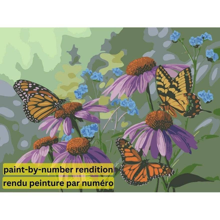 Diamond Brands - PAINT-BY-NUMBER KIT Butterfly Garden by Jeff Hoff