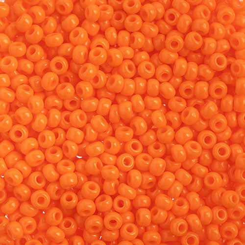 Czech Seed Beads 10/0 22g