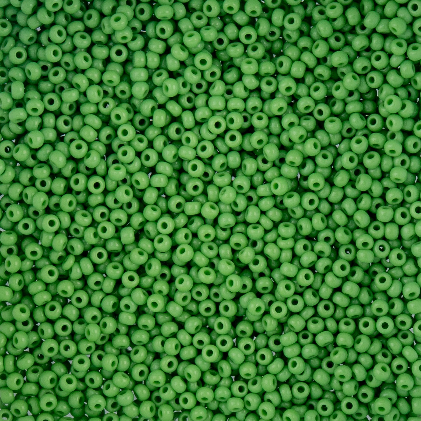 Czech Seed Beads 10/0 22g