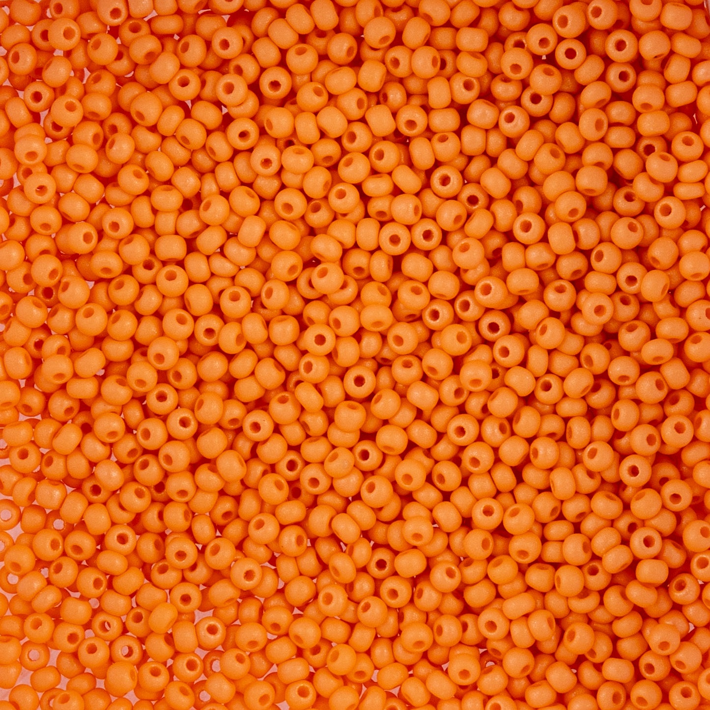 Czech Seed Beads 10/0 22g