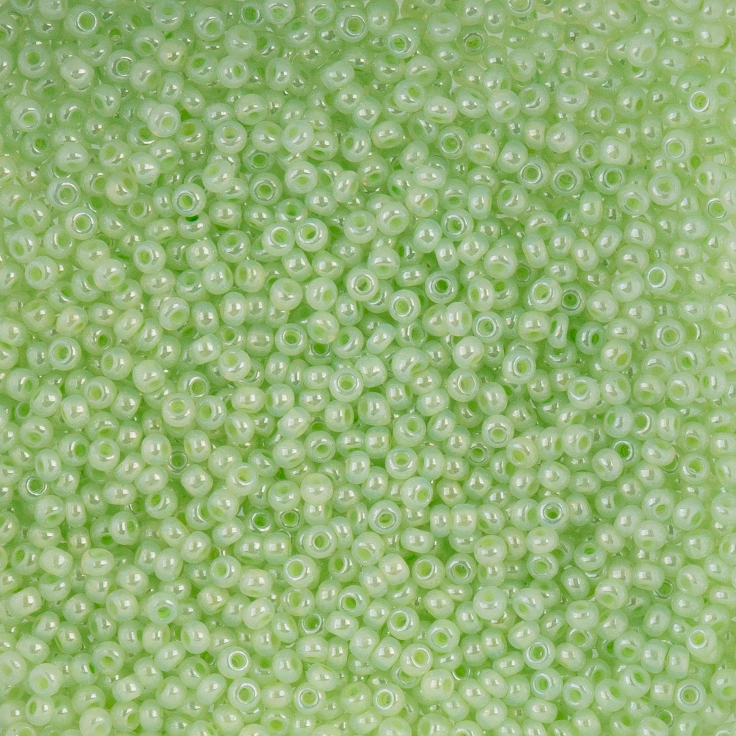 Czech Seed Beads 10/0 22g