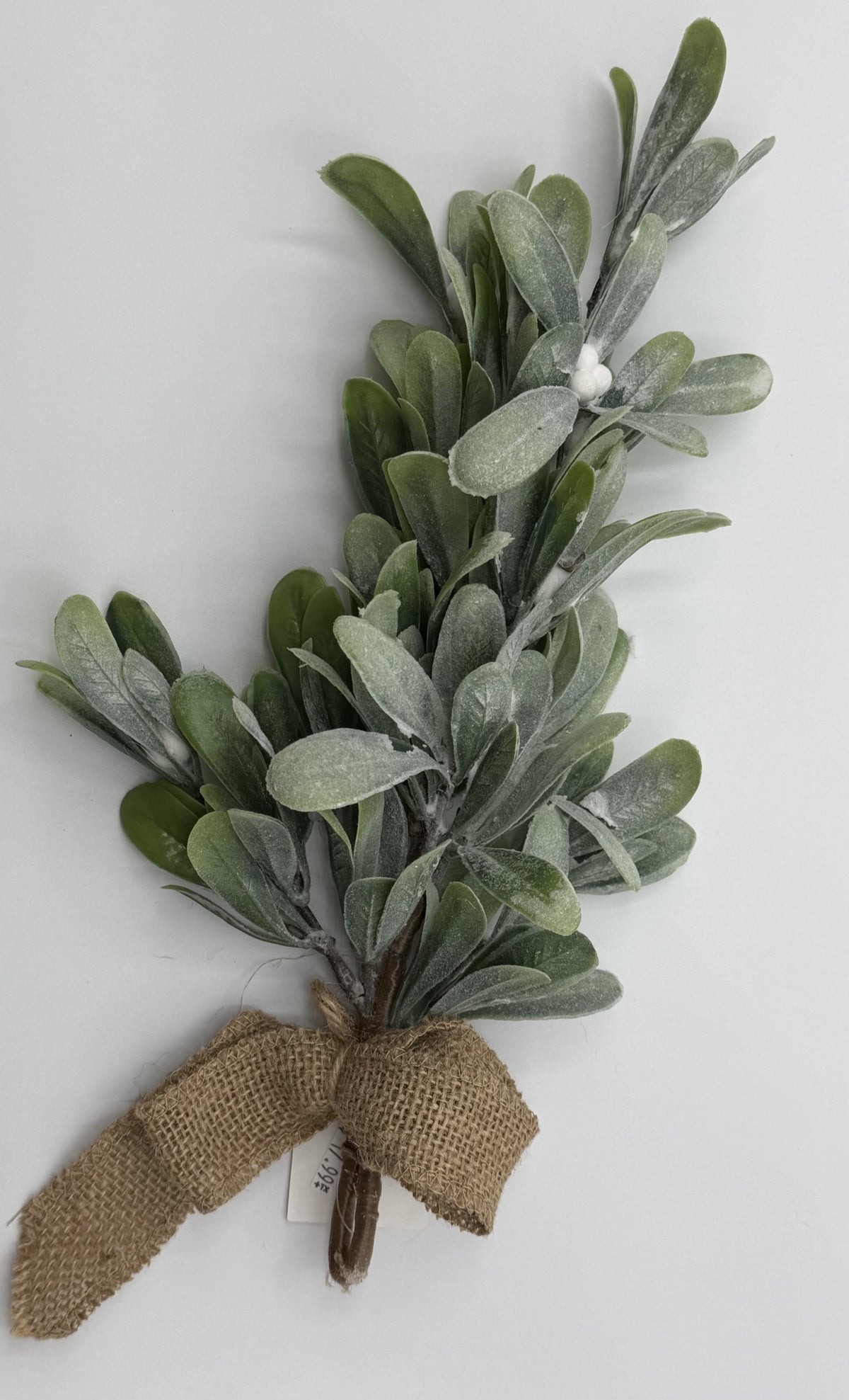 Mistletoe
