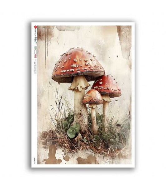Paper Designs - Fly Agaric Mushrooms A4